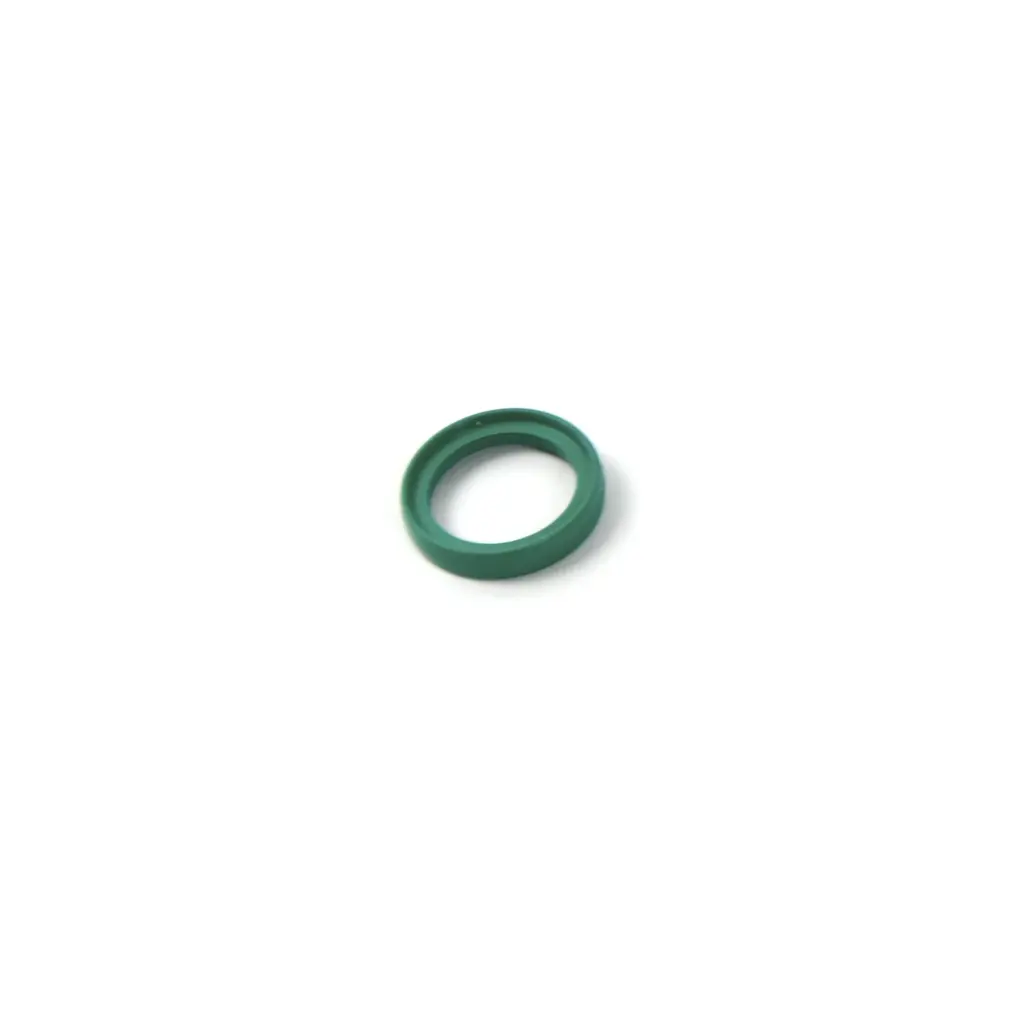 Gasket for CSTR Fittings (22/16.2 mm)